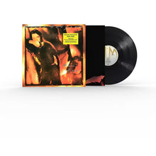 Load image into Gallery viewer, Roger Hodgson – Hai Hai 180g Half-Speed Mastered Vinyl LP
