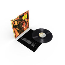 Load image into Gallery viewer, Roger Hodgson – Hai Hai 180g Half-Speed Mastered Vinyl LP
