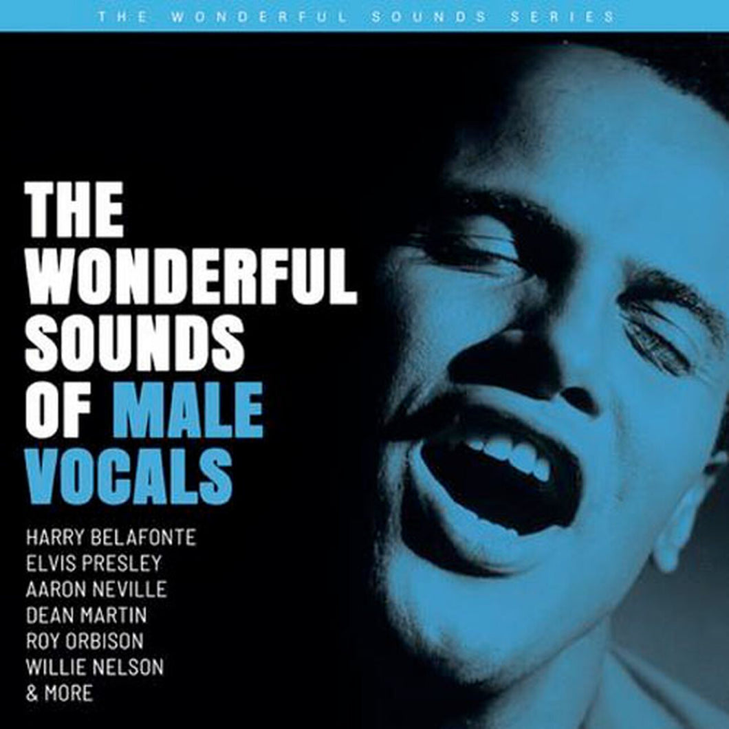 The Wonderful Sounds Of Male Vocals 180g Vinyl 2LP Audiophile Sampler from Analogue Productions